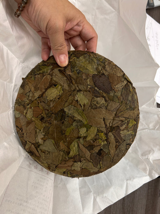 China Guizhou High Mountain White Tea