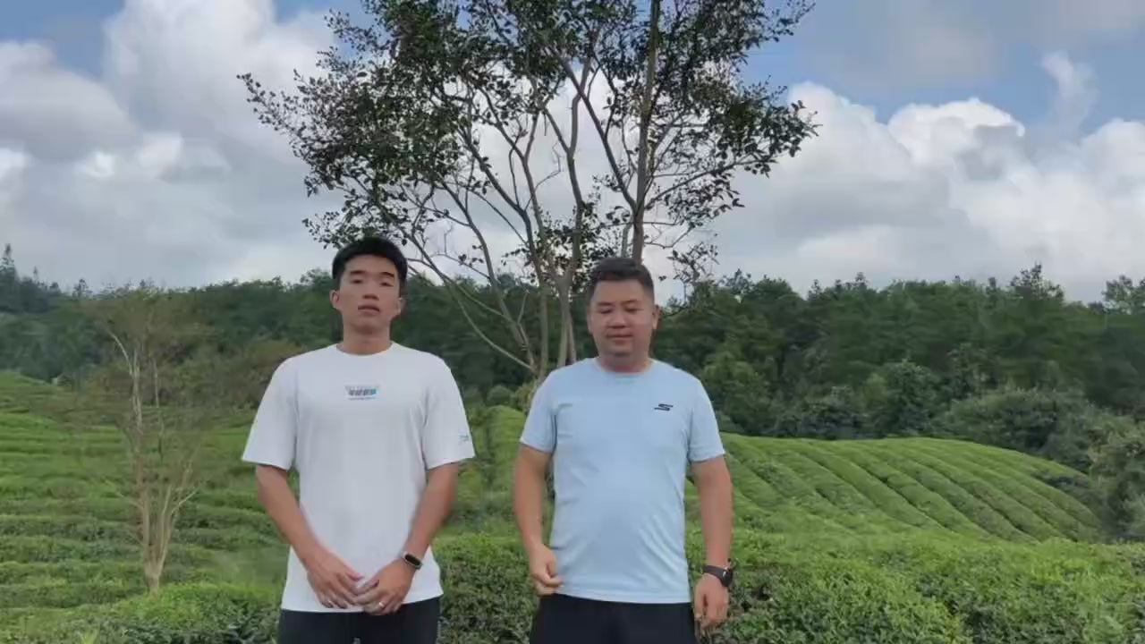 Travel-sized white tea, eight pieces per box, 5g each, total weight 40g